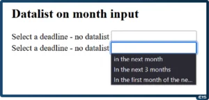 Datalist month input Firefox
