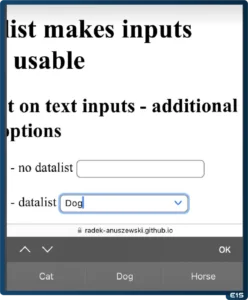 Datalist on Safari iPhone
