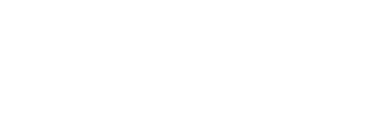 Logo Euvic