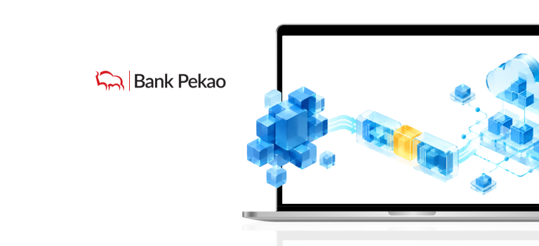 Pekao illustration laptop